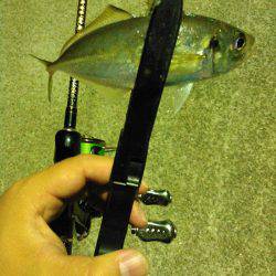 レガーメ　牙突